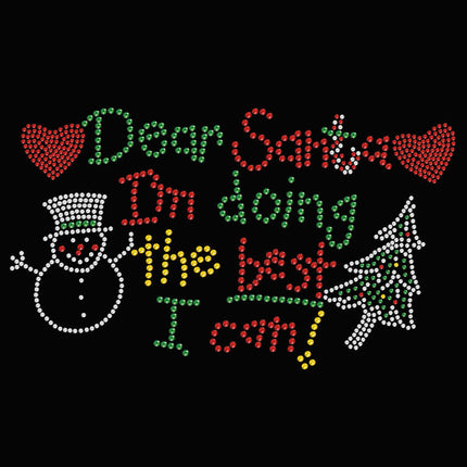 Dear Santa I'm Doing the Best I Can - Women's T-shirt