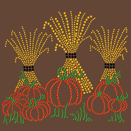 Hay Stacks & Pumpkins - Women's T-shirt