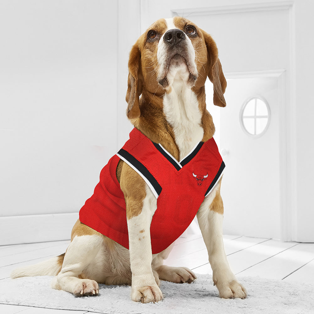 Chicago Bulls Mesh Basketball Jersey by Pets First