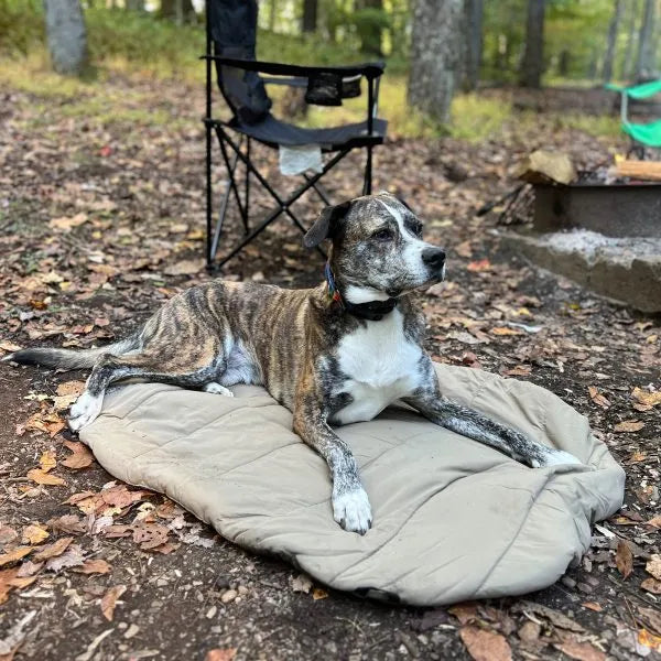 Bed in a Bag Travel Dog Bed