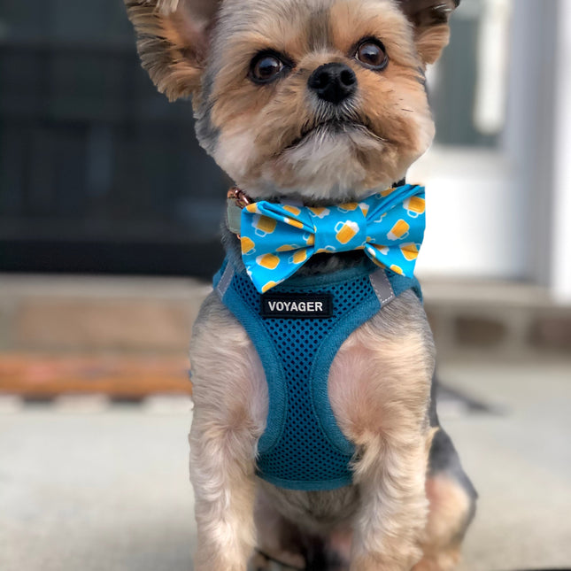 Beer Mug Bow Tie