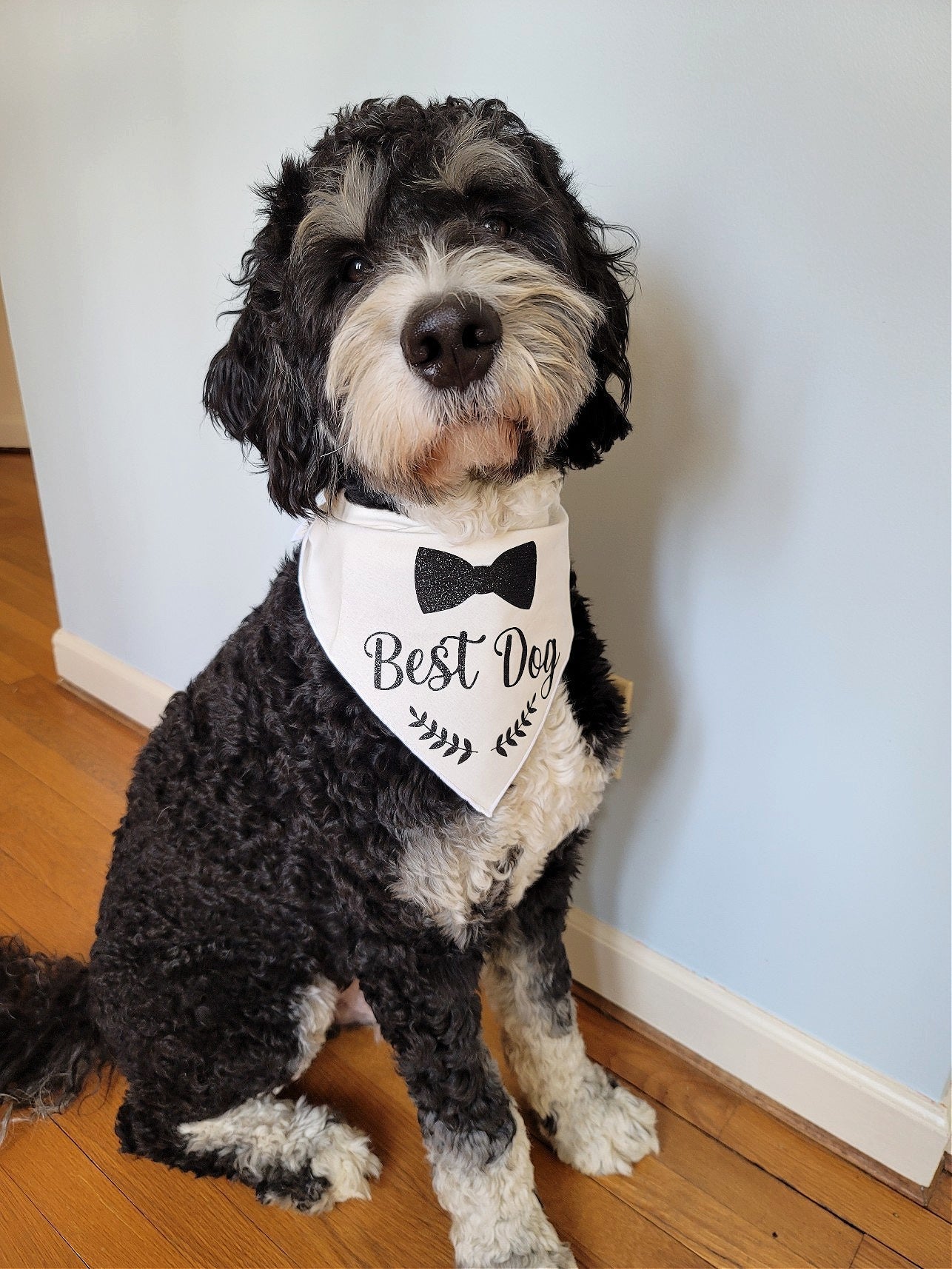 Best Dog Wedding Bandana