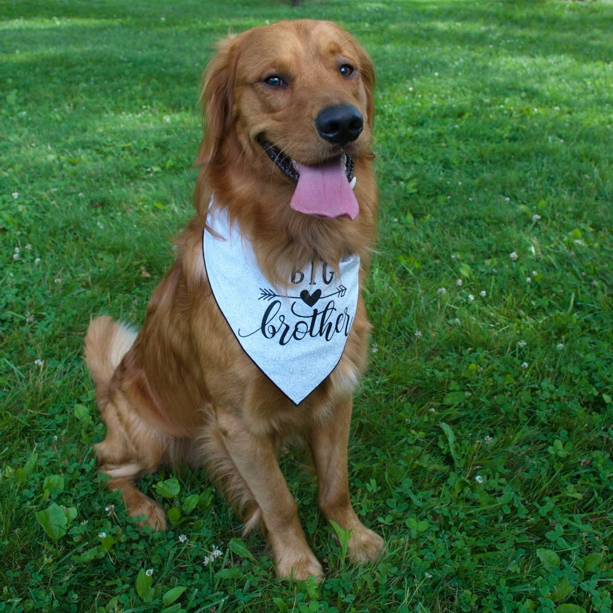 Big Brother - White Dog Bandana