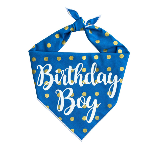 Birthday Boy Dog Bandana