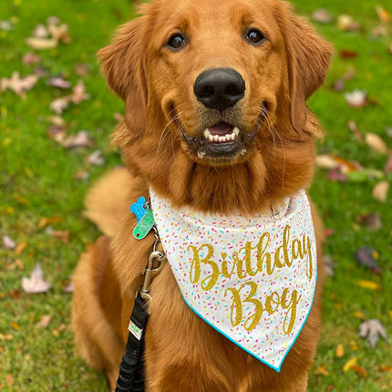 Birthday Boy Tie Dog Bandana