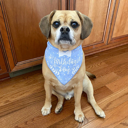 Birthday Boy! White Stars on Blue Dog Bandana