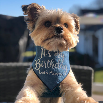 Birthday Dog Bandana Denim