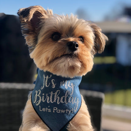 Birthday Dog Bandana Denim