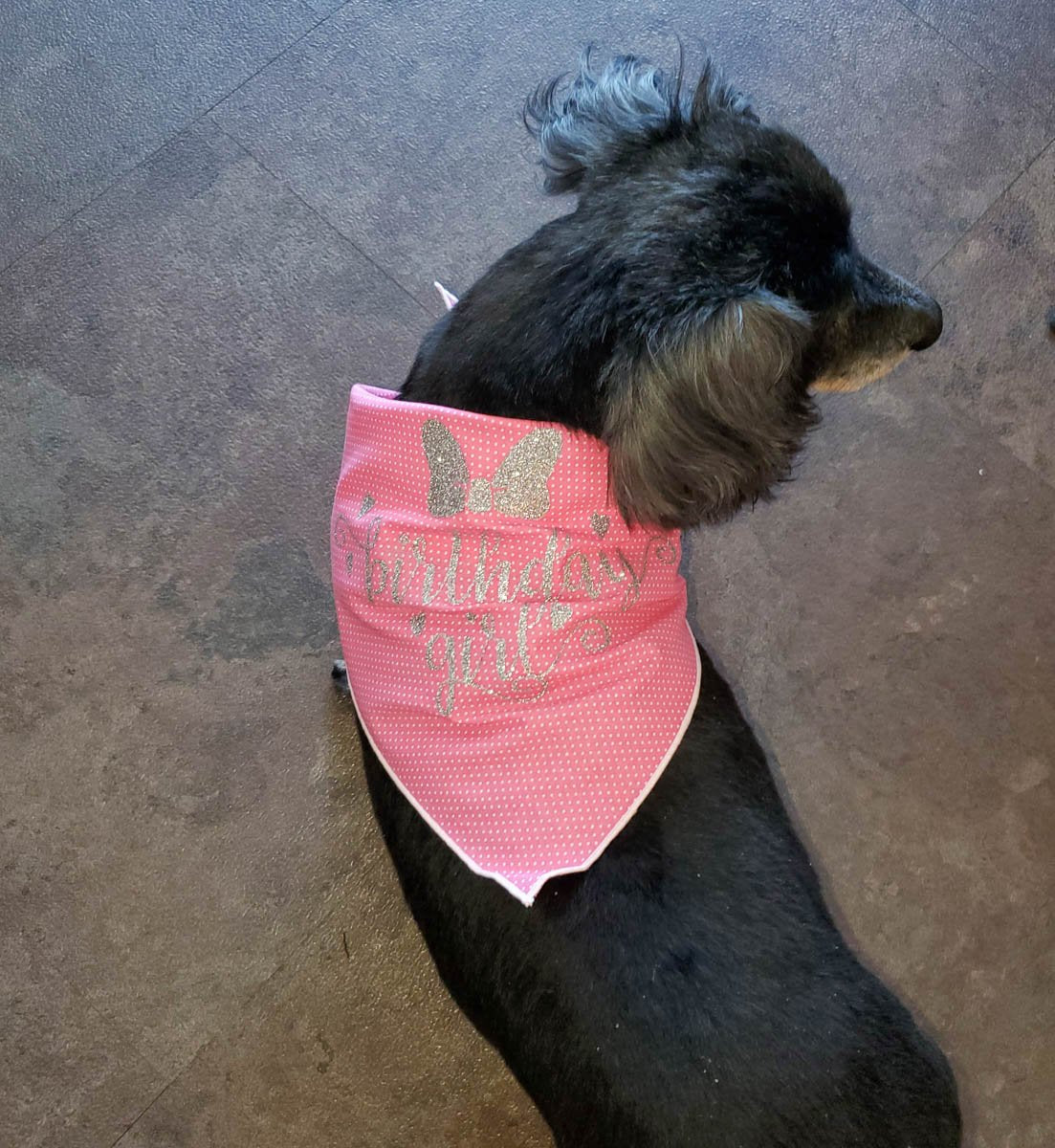 Birthday Girl Pink Polka Dot Dog Bandana