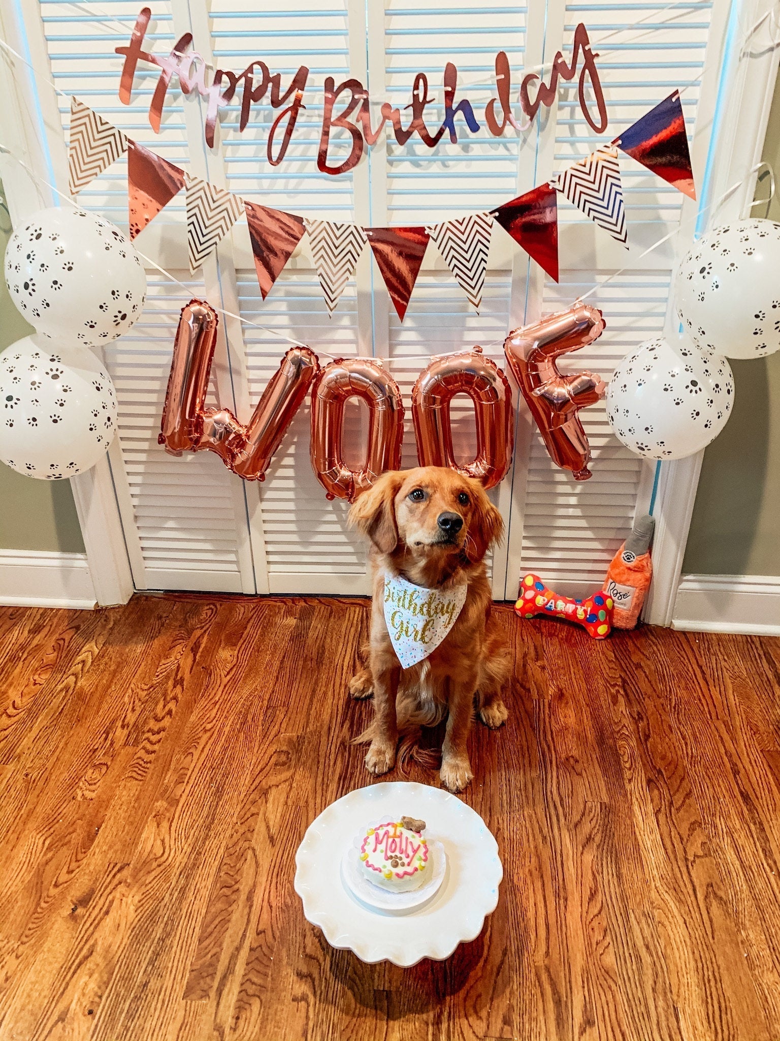 Birthday Girl Sprinkles Dog Bandana