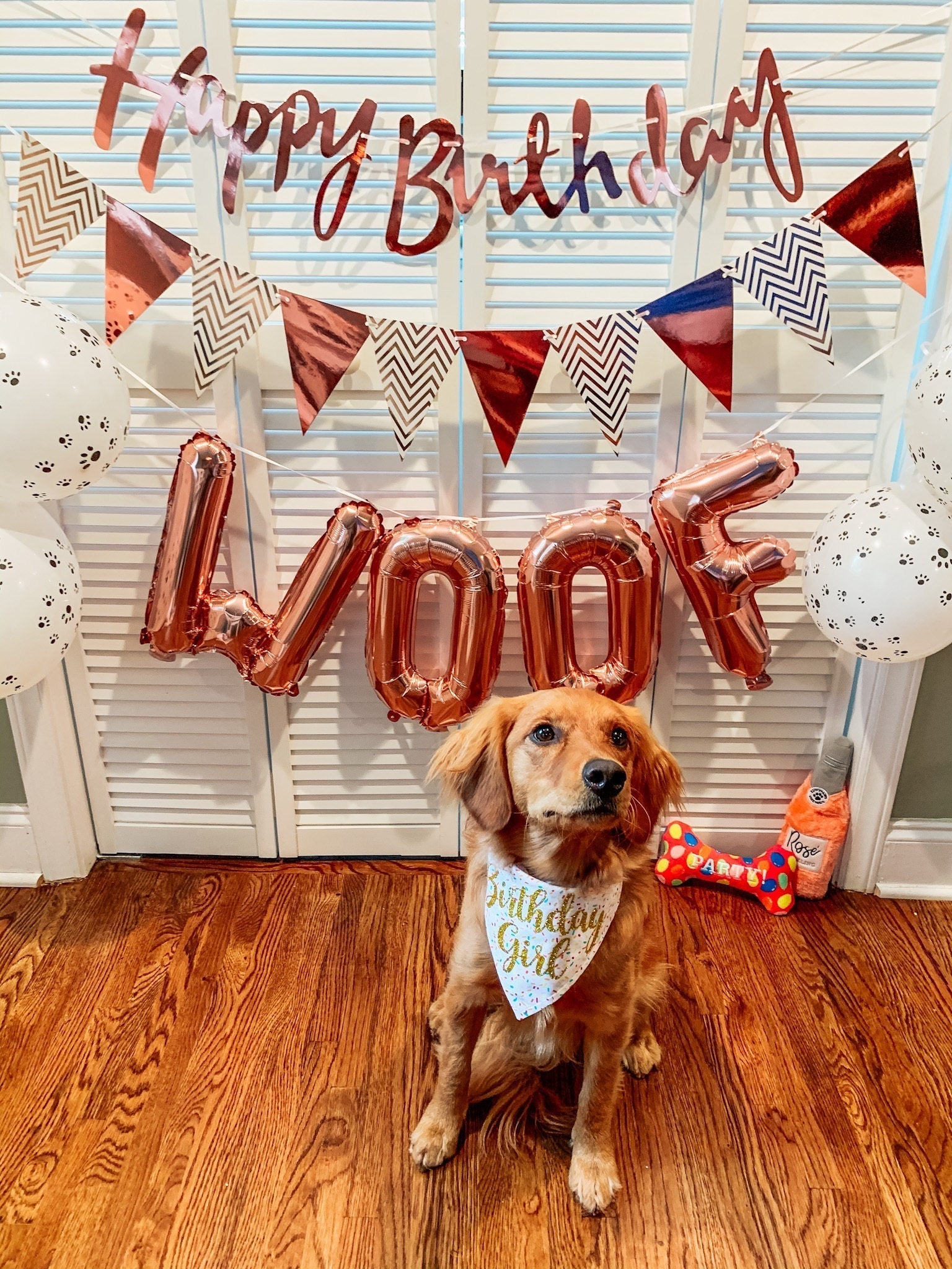 Birthday Girl Sprinkles Dog Bandana