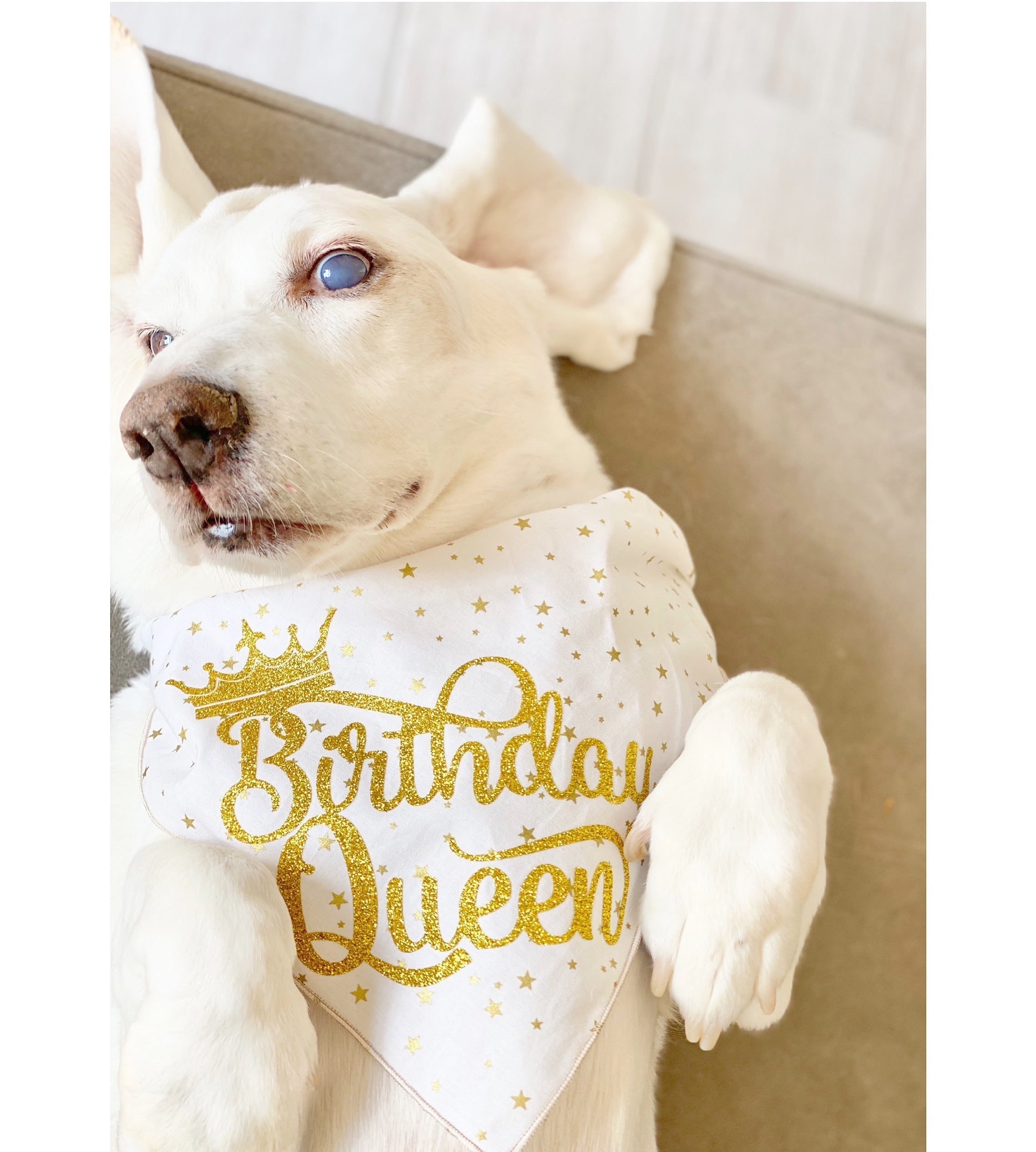 Birthday Queen Dog Bandana