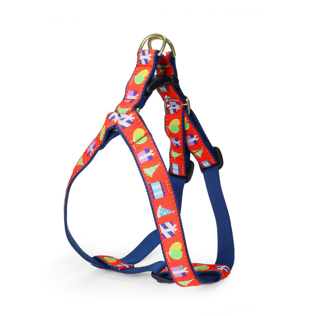 Birthday Gift Dog Harness