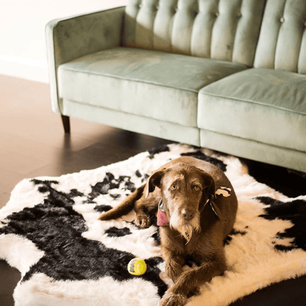 PupRug™ Animal Print Memory Foam Dog Bed - Black Faux Cowhide