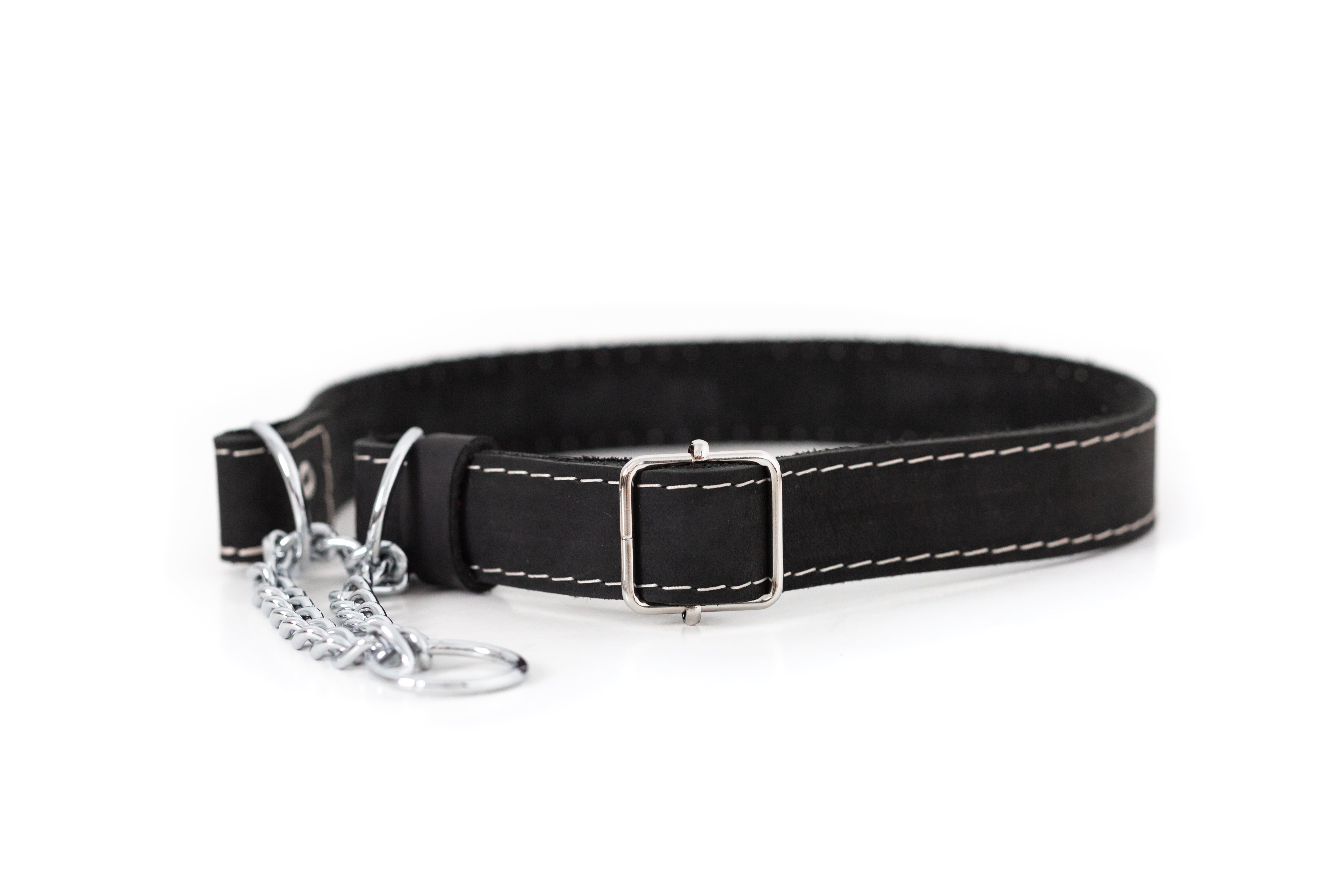 Martingale Leather Dog Collar