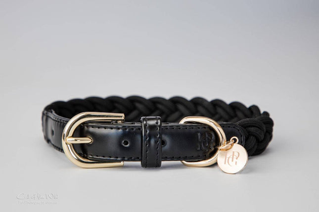 Dog Collar Black Plaited - Yellow Gold