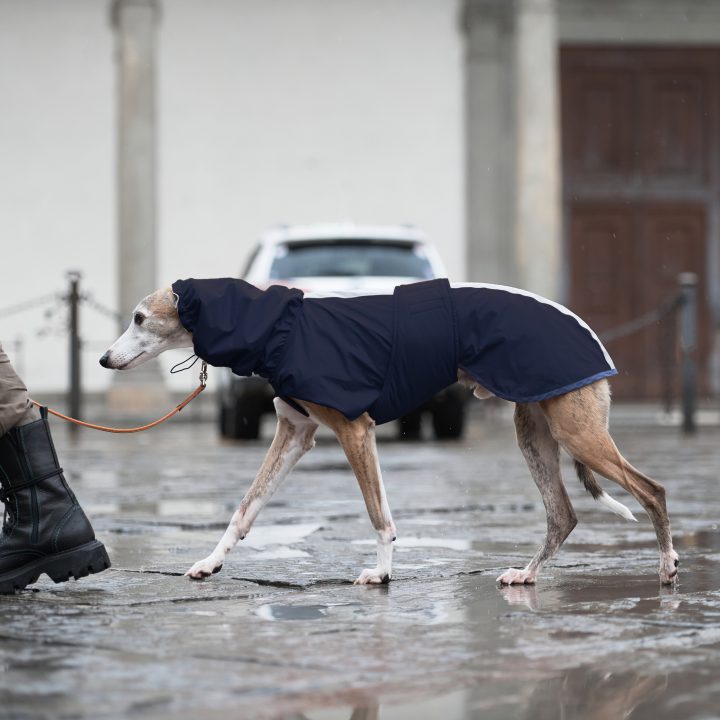 Sketches Raincoat for Greyhounds Blue