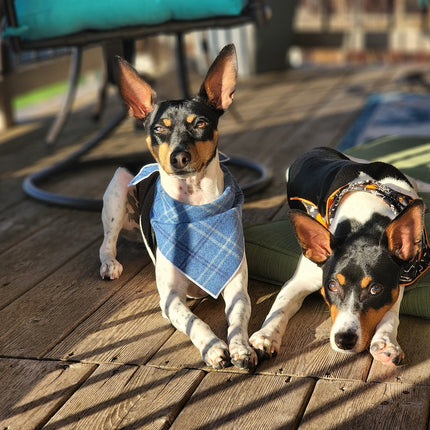 Blue Luxe Flannel Dog Bandana