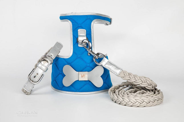 The Royal Dog Harness