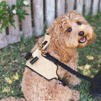 The Coco Dog Harness (Bow)