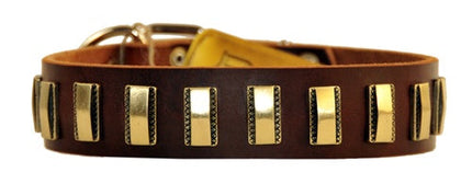 Brass Line Collar 1 1/2" Width