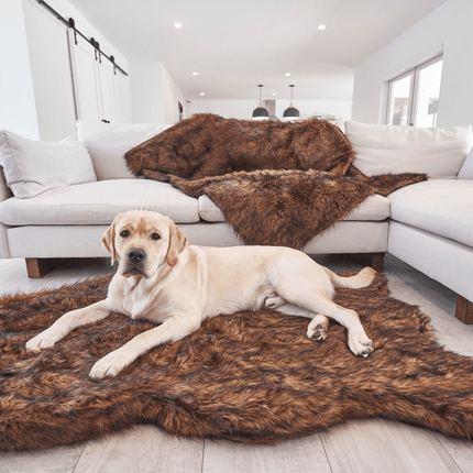 PupRug by Paw.com™ Faux Fur Orthopedic Dog Bed - Curve Brown