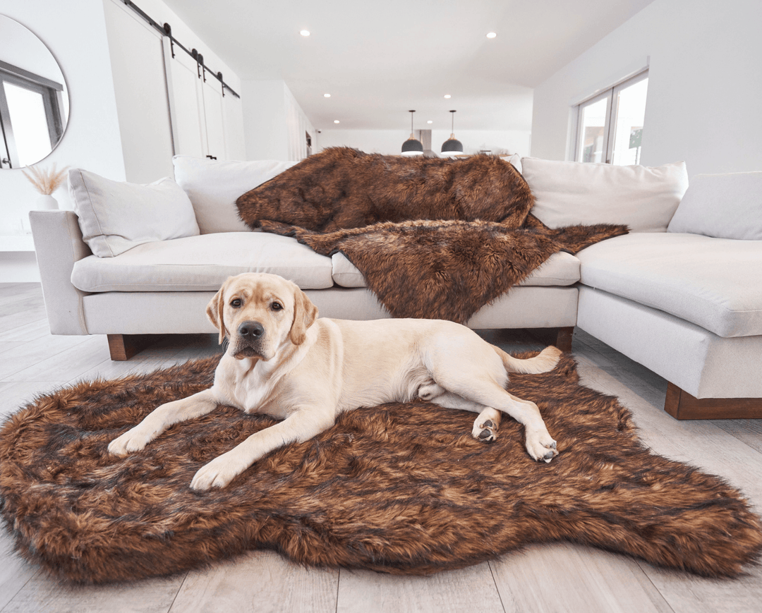 PupRug Faux Fur Orthopedic Dog Bed - Curve Brown