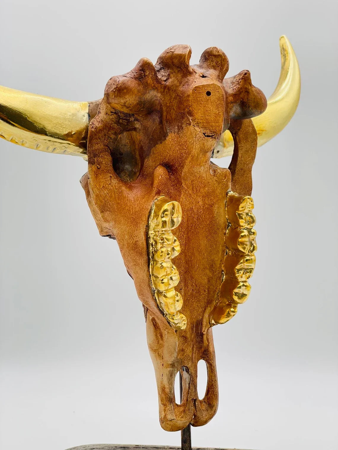 Buffalo with Gold Horns Skull Statue HT Animal Supply