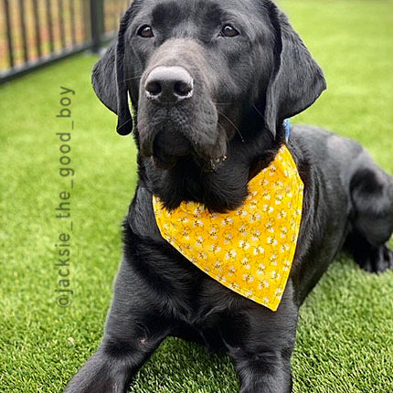 Buzzing Bumble Bee Dog Bandana