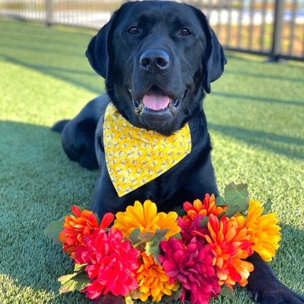 Buzzing Bumble Bee Dog Bandana