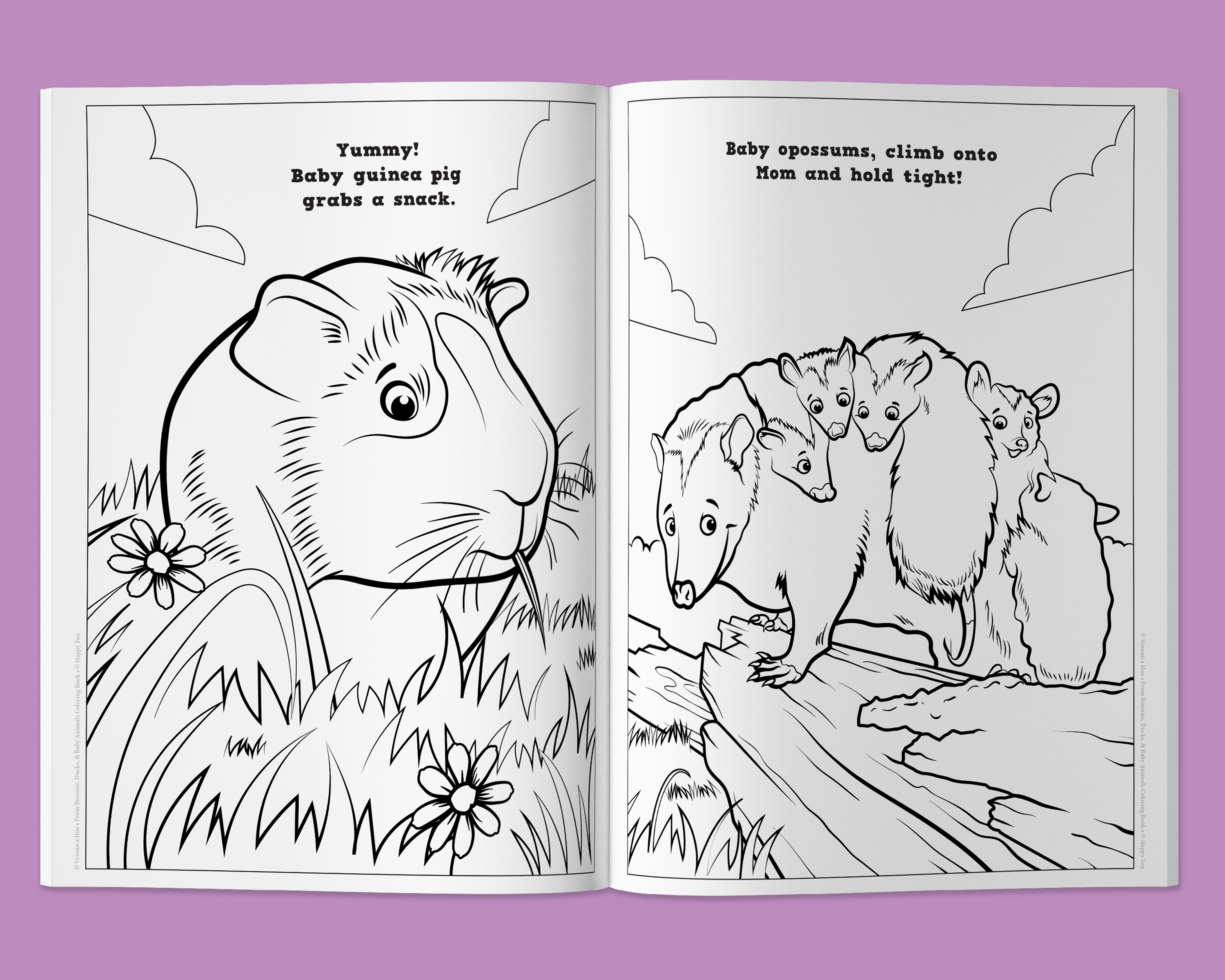 Bunnies, Ducks, and Baby Animals Coloring Book Customized