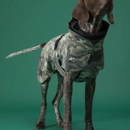 Recovery Raincoat Camo for Dogs