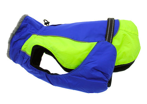 Alpine All-Weather Dog Coat - Blue and Green