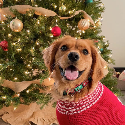 Christmas Tree Sweater