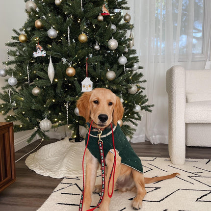 Christmas Bones Dog Collar