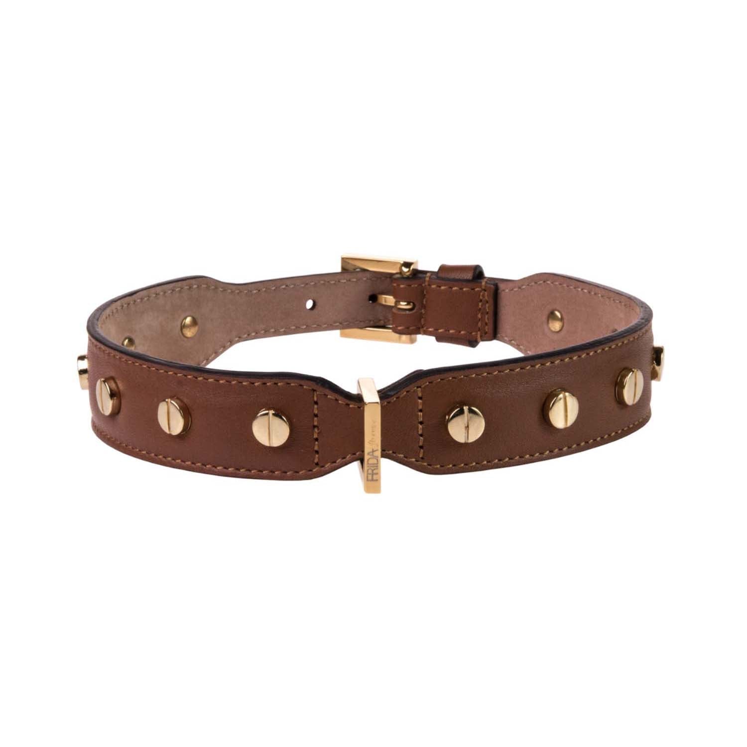 Stud Screw Collar in Brown Leather 50cm (19.68