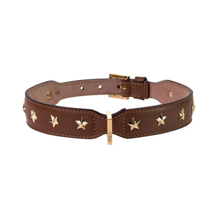 Star Stud Brown Leather Collar