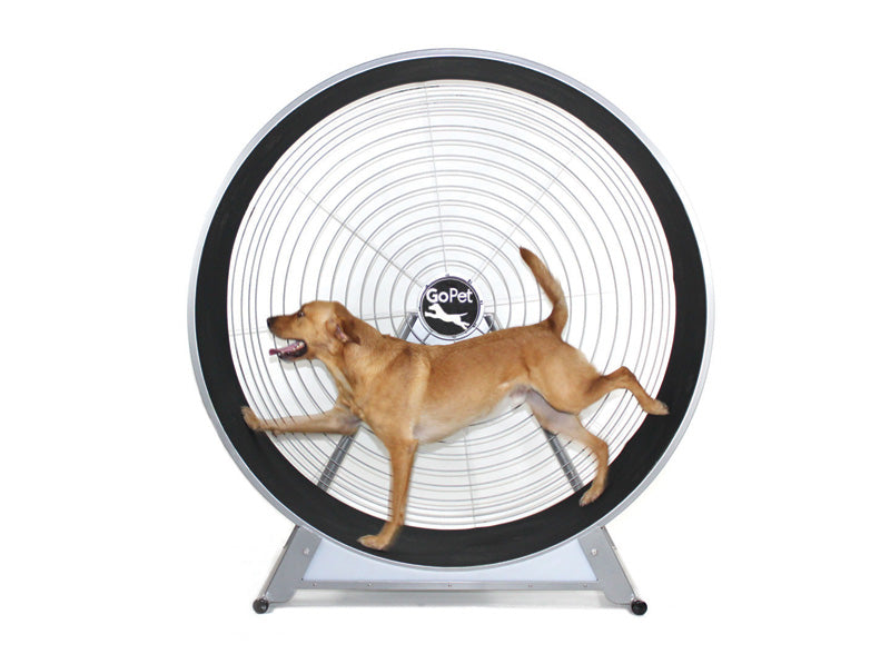 Dog Wheel With Stand Medium-Large Breed