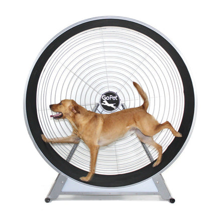 Dog Wheel With Stand Medium-Large Breed