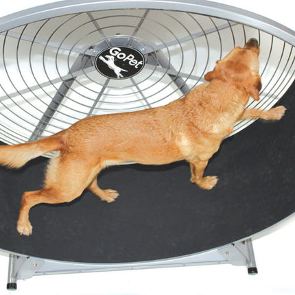 Dog Wheel With Stand Medium-Large Breed