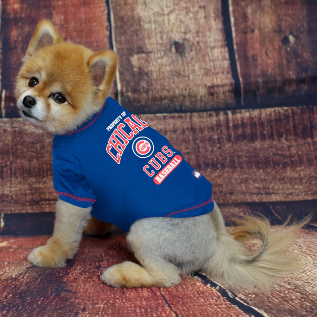 Chicago Cubs Dog Tee Shirt