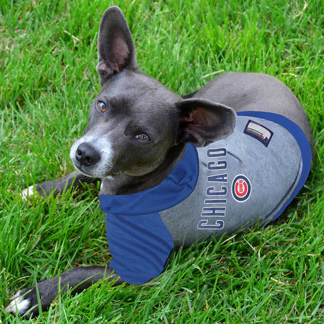 Chicago Cubs Hoody Dog Tee