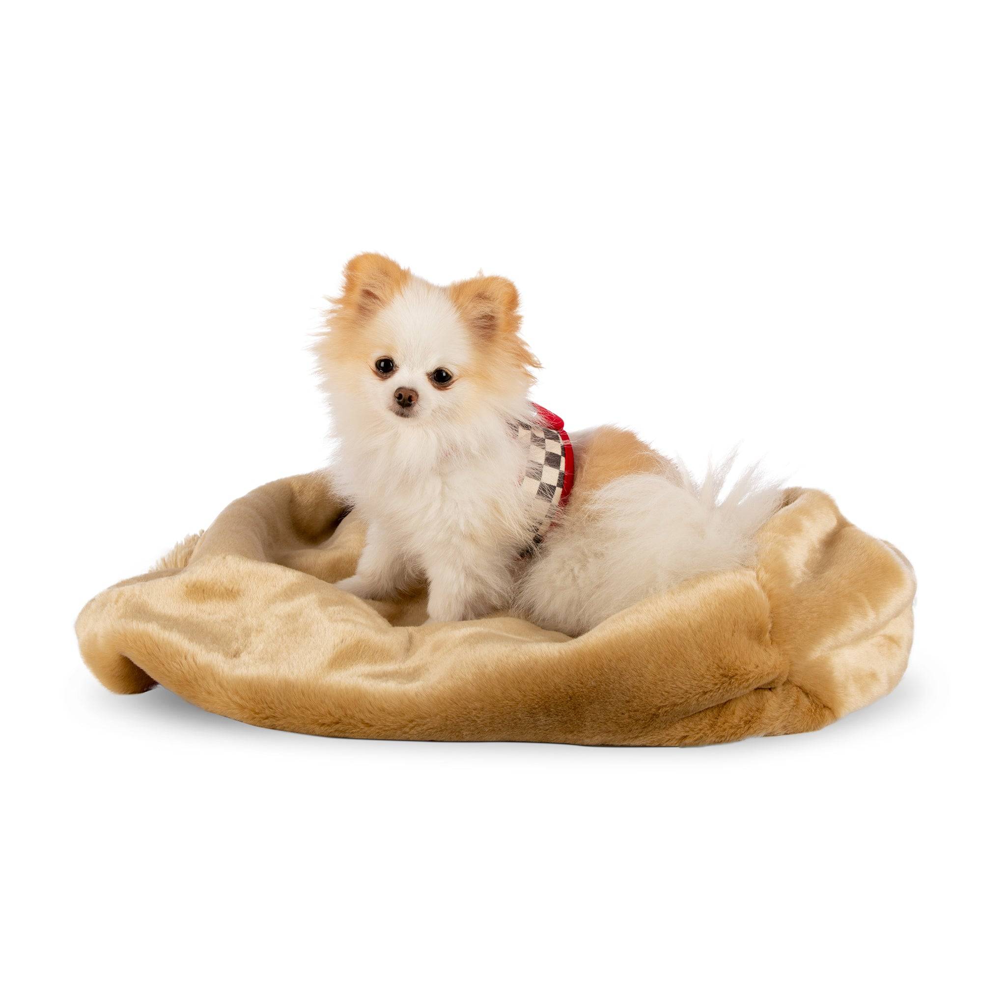 Camel Smooth with Camel Shag Cuddle Cup Camel Shag