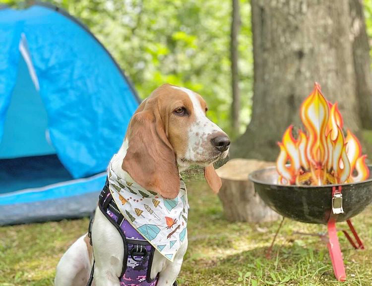 Camping Scene Bandana