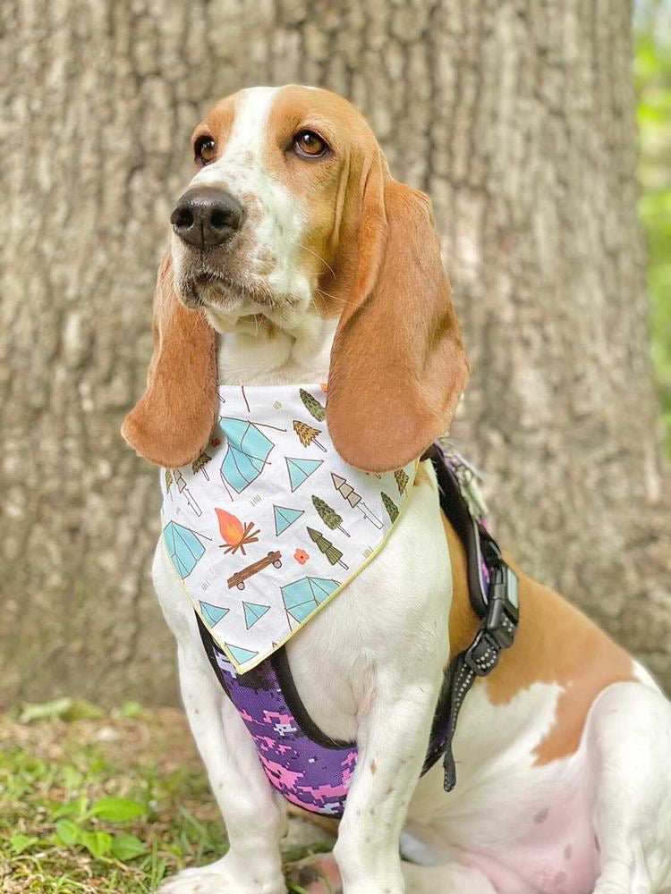 Camping Scene Bandana