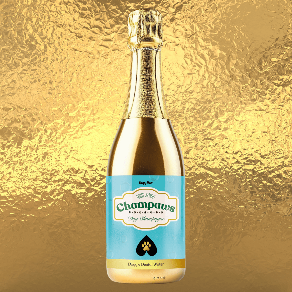 Champaws Dog Champagne | 375mL | Gold Bottle