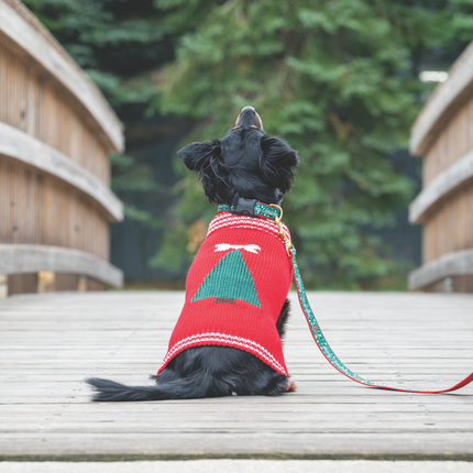 Christmas Tree Sweater