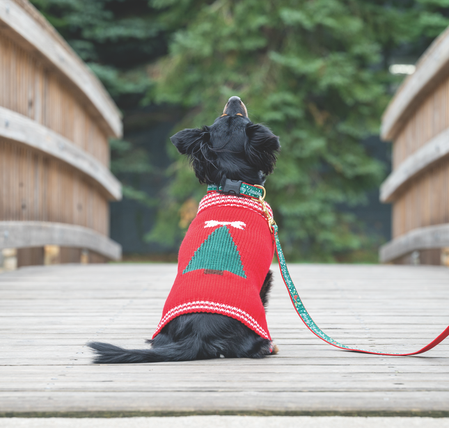 Christmas Tree Sweater