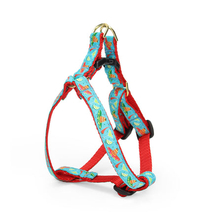 Cinco de Mayo Small Breed Dog Harness