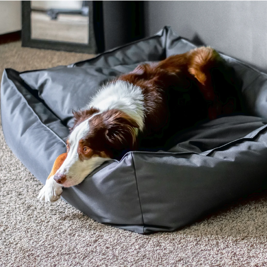 Titan Citadel Ballistic Dog Bed